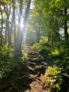 Ayurveda science du vivant